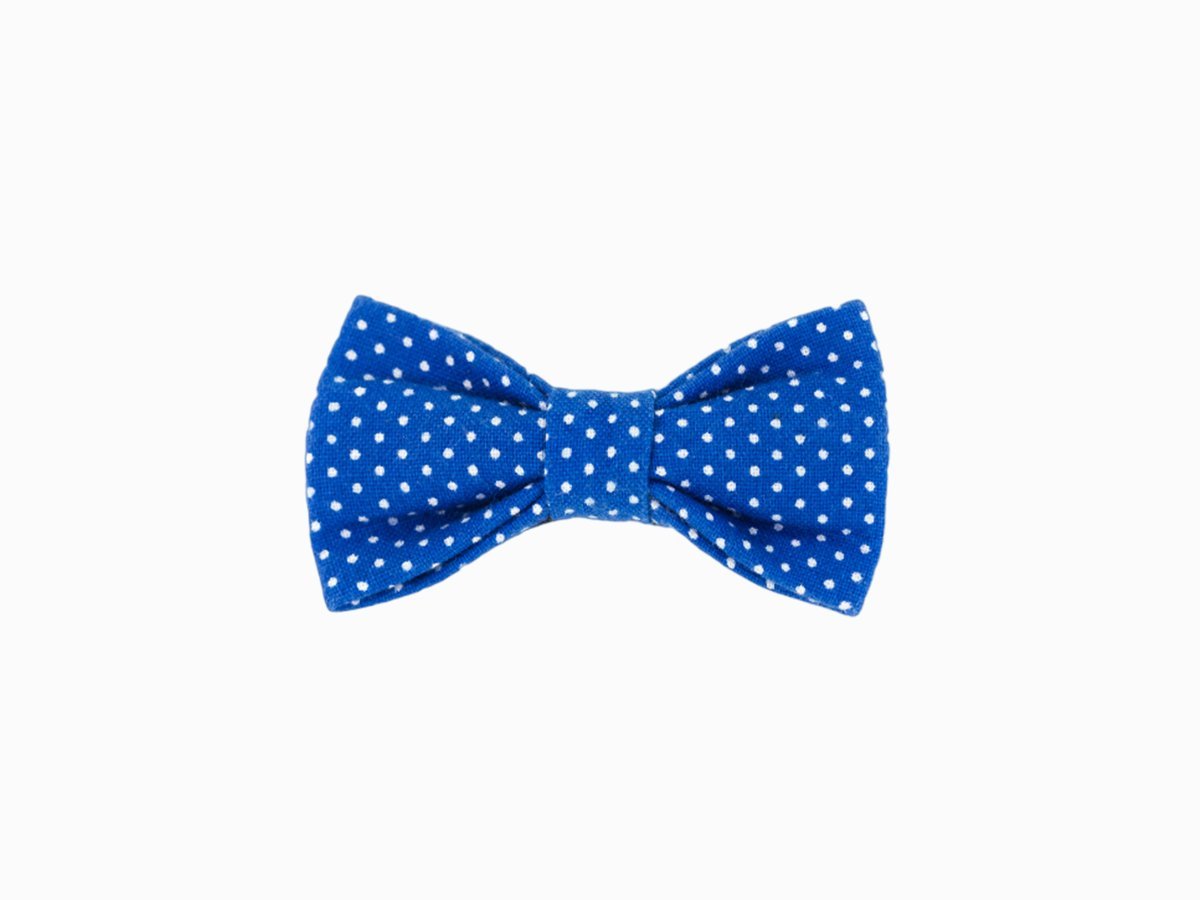 Бабочка-галстук "Butterfly"